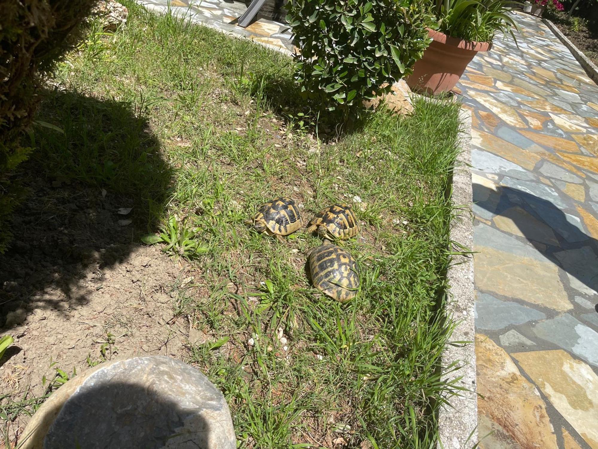 Artur'S Apartment Gjirokastër المظهر الخارجي الصورة